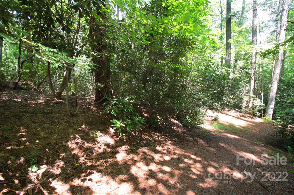 Lot 9 Kelly Mountain Road, Unit 9 Brevard, NC 28712 - Photo 17 of 19 Gallery Image 17