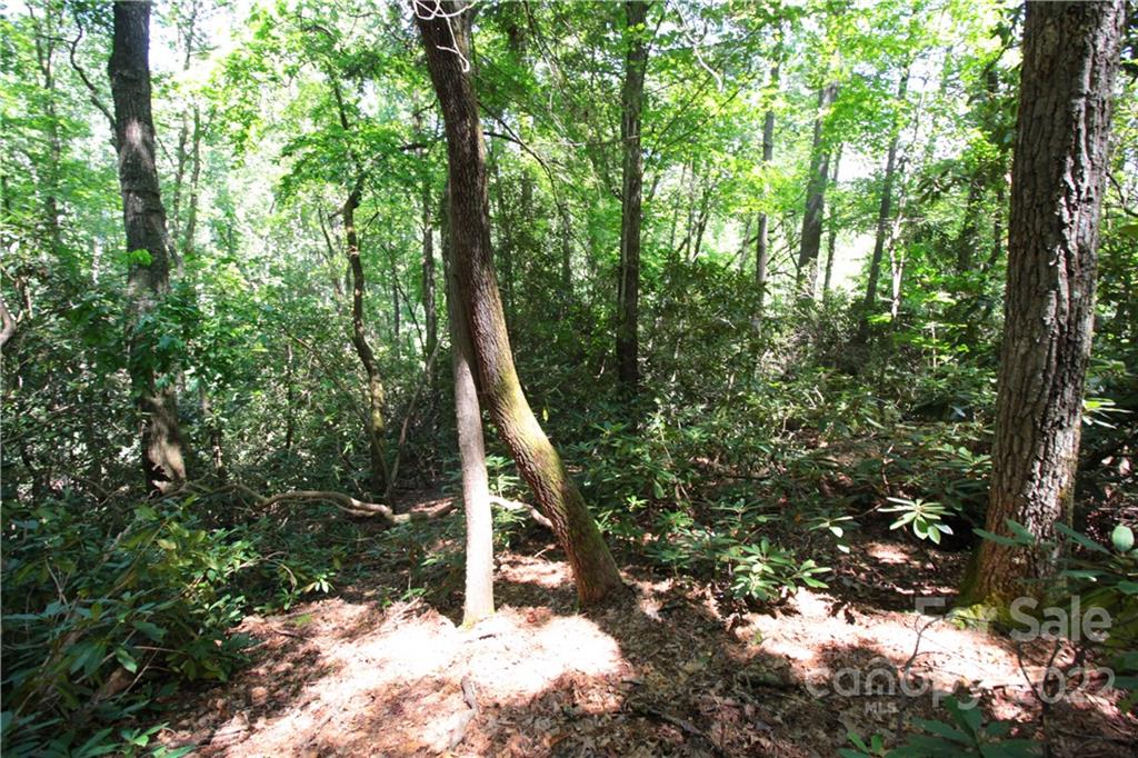Lot 9 Kelly Mountain Road, Unit 9 Brevard, NC 28712 - Photo 18 of 19 Gallery Image 18