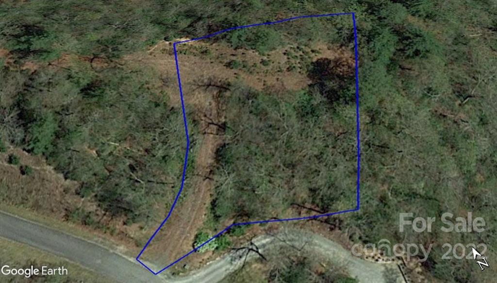 Lot 9 Kelly Mountain Road, Unit 9 Brevard, NC 28712 - Photo 19 of 19 Gallery Image 19