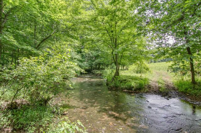155 St Mary Road Loretto, TN 38469 - Photo 19 of 20