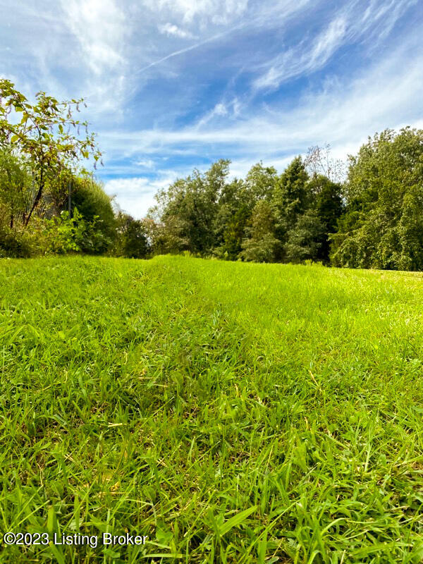 29 Poplar Ridge Road Cub Run, KY 42729 - Photo 1 of 2 IMG_1281001_colour