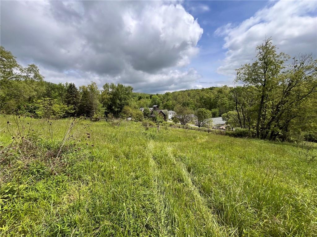 4448-4450 Hollow Road Wampum, PA 16157 - Photo 3 of 6
