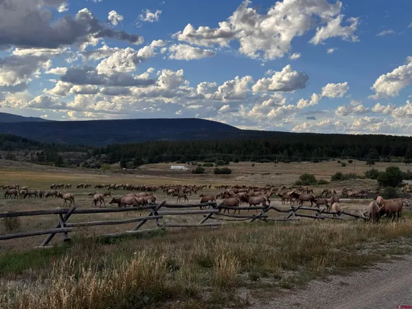 $2,400,000 | 386-linda 386-linda Vista, Pagosa Springs, CO 81147
