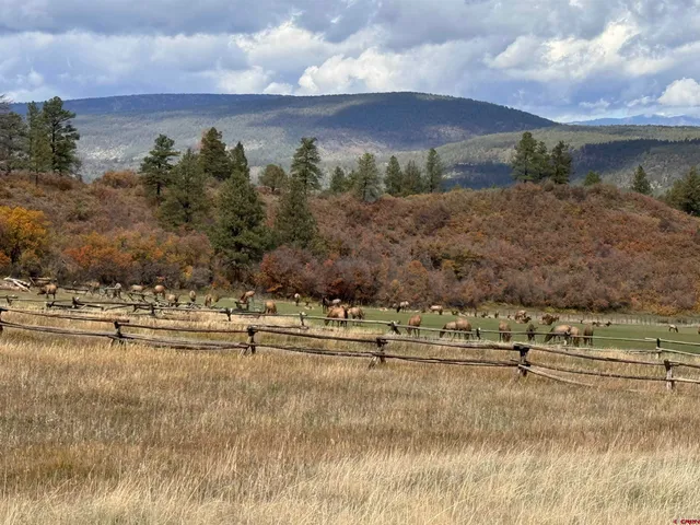 $2,750,000 | 386-linda 386-linda Vista, Pagosa Springs, CO 81147