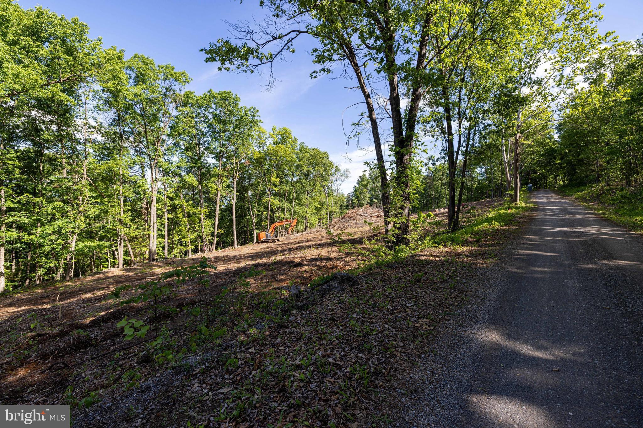 0 Cross Mountain Road Luray, VA 22835 - Photo 36 of 51