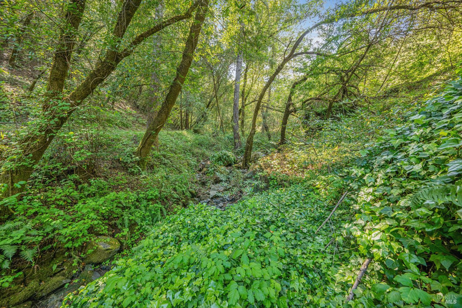 1311 West Dry Creek Road Healdsburg, CA 95448 - Photo 32 of 51