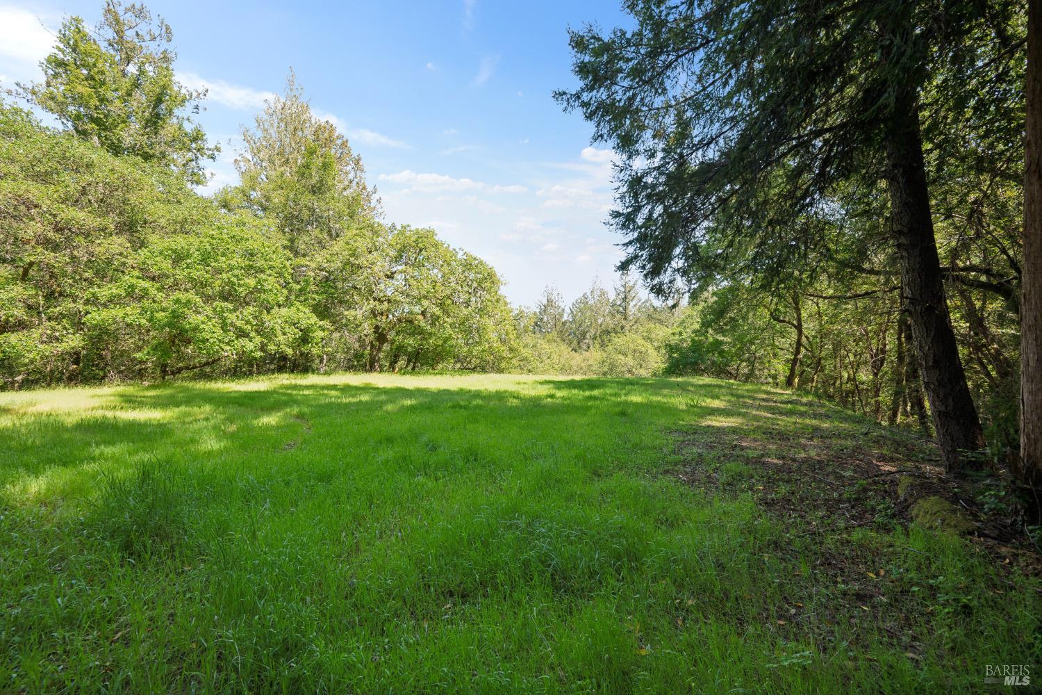 1311 West Dry Creek Road Healdsburg, CA 95448 - Photo 44 of 51