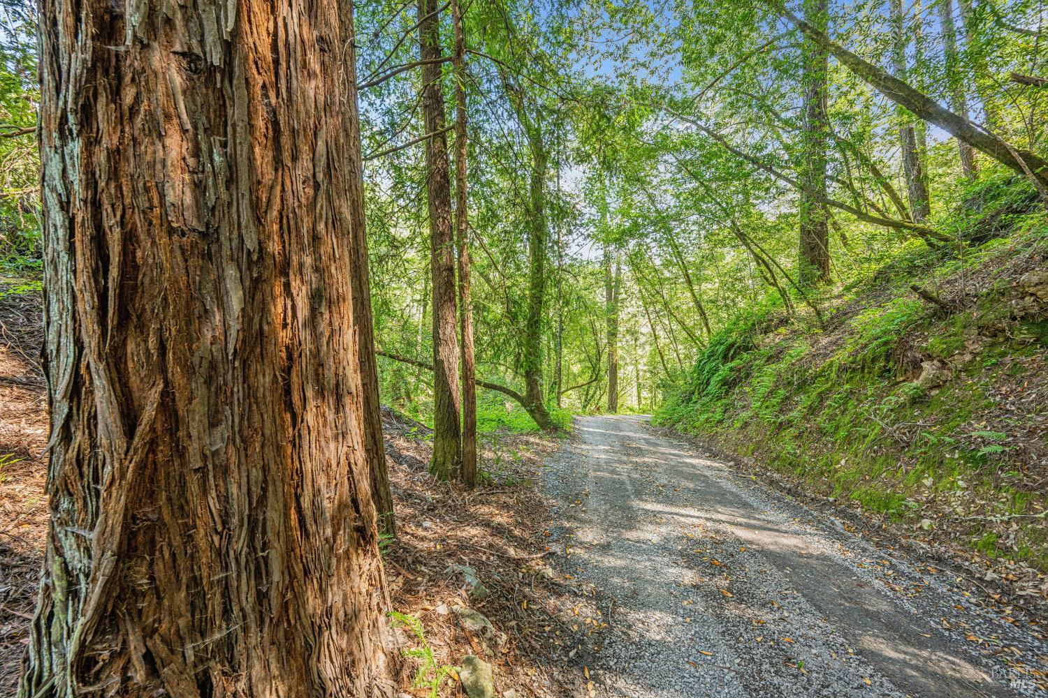 1311 West Dry Creek Road Healdsburg, CA 95448 - Photo 45 of 51