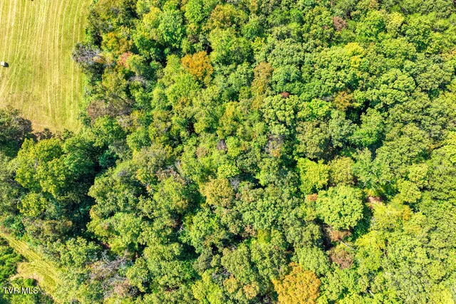 $699,900 | Tbd2 Magnolia Road, Rogersville, TN 37857