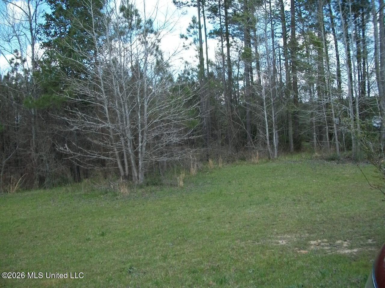 35 Nettles Road McCall Creek, MS 39647 - Photo 21 of 27 53 Nettles Lane (1)