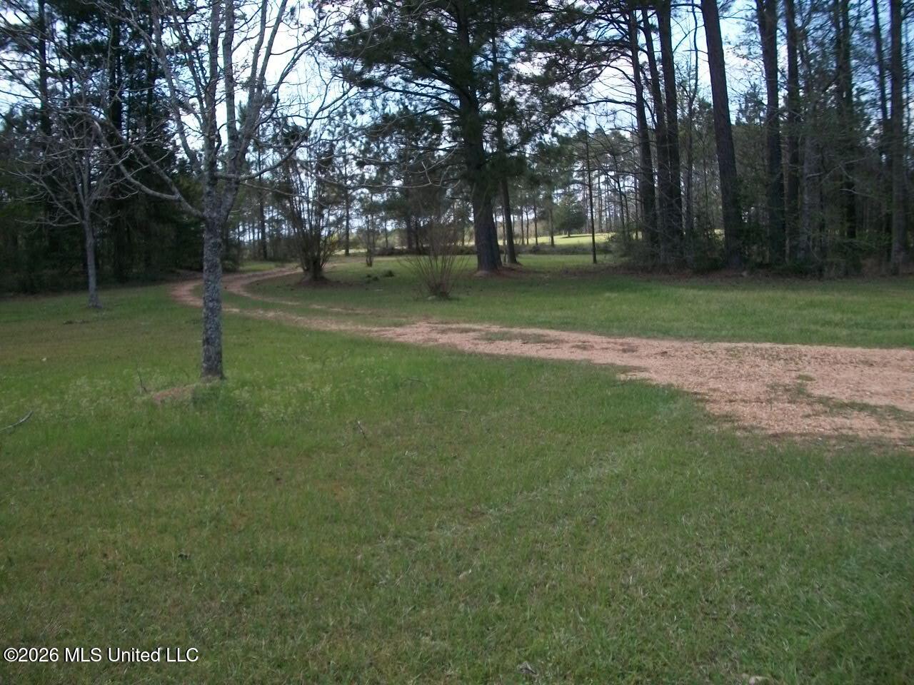 35 Nettles Road McCall Creek, MS 39647 - Photo 25 of 27 53 Nettles Lane (7)