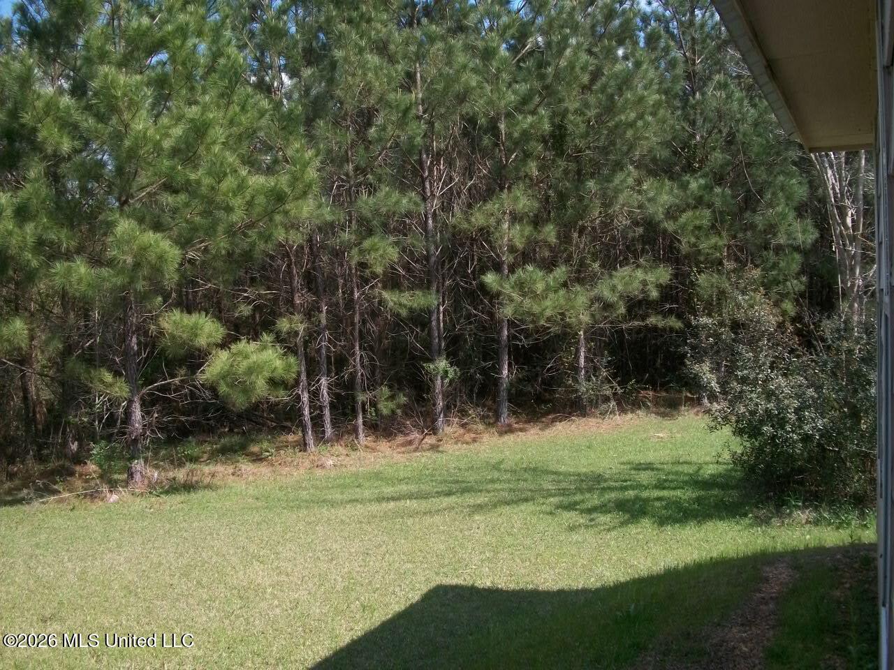 35 Nettles Road McCall Creek, MS 39647 - Photo 26 of 27 53 Nettles Lane (28)