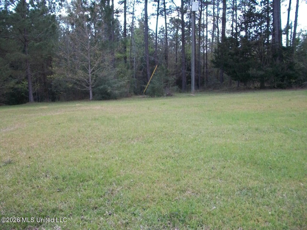 53 Nettles Road McCall Creek, MS 39647 - Photo 28 of 31 53 Nettles Lane (6)