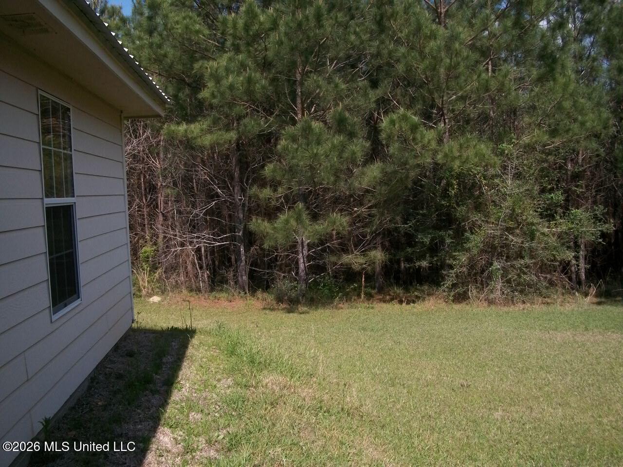 53 Nettles Road McCall Creek, MS 39647 - Photo 31 of 31 53 Nettles Lane (29)
