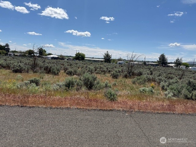 4 Division .4 Road Northeast Soap Lake, WA 98851 - Photo 7 of 10 a view of a dry yard with trees