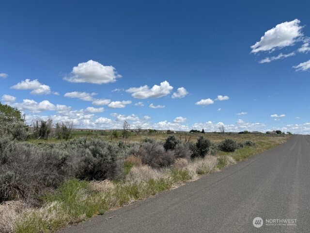 4 Division .4 Road Northeast Soap Lake, WA 98851 - Photo 8 of 10 a view of a lake in middle of forest