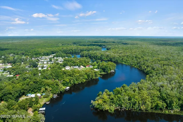 a view of a garden with plants and large trees