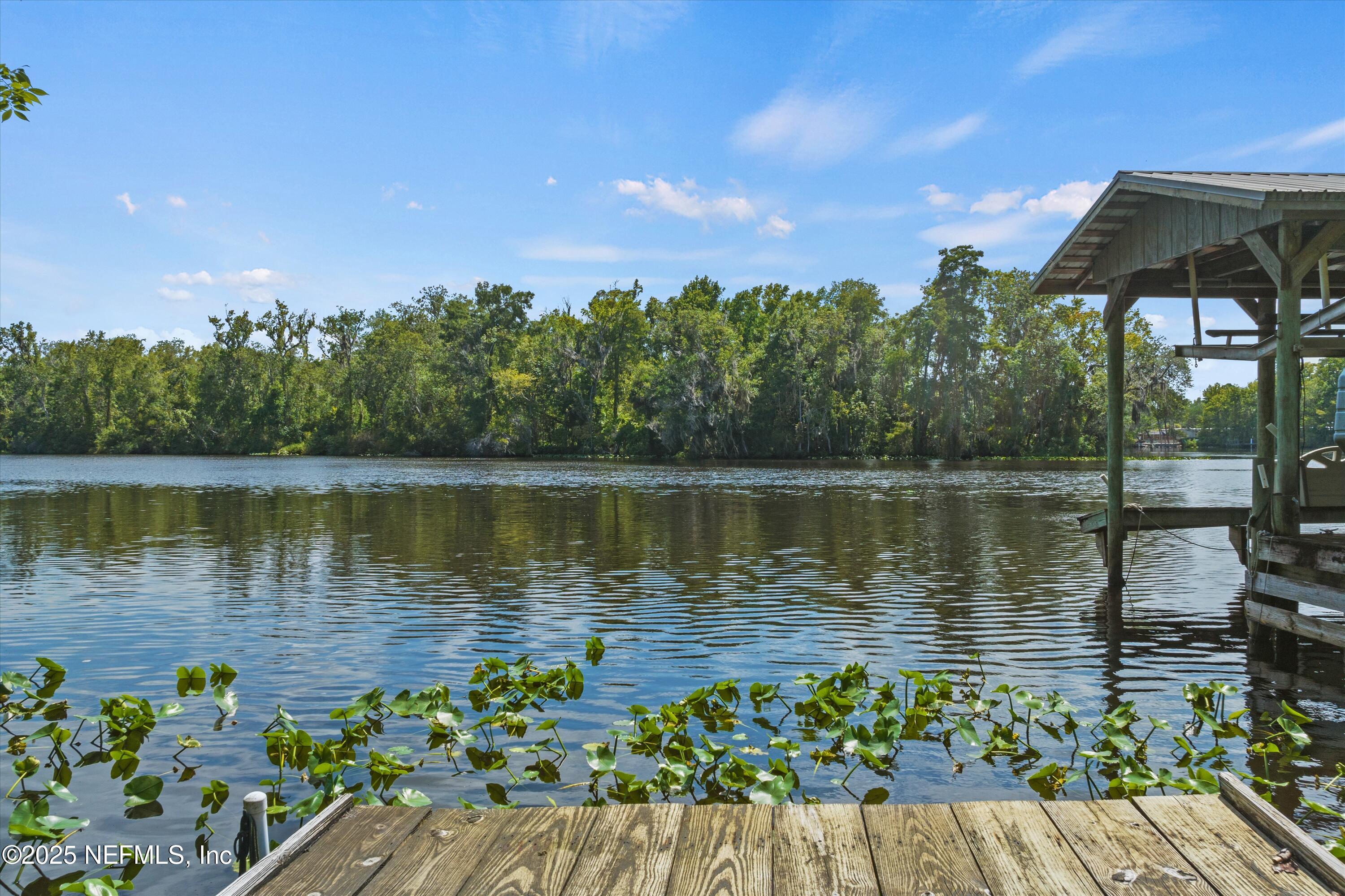 145 Finnigan Road Satsuma, FL 32189 - Photo 31 of 33 a lake view with a lake view