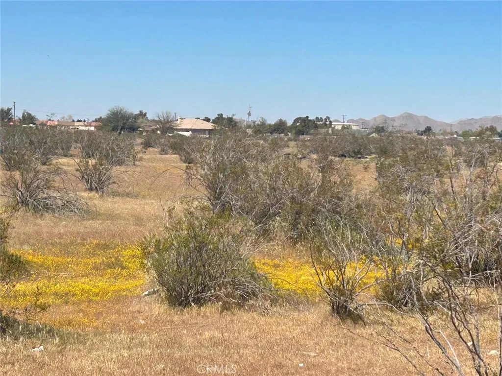 20 Matawan Road Apple Valley, CA 92307 - Photo 8 of 13