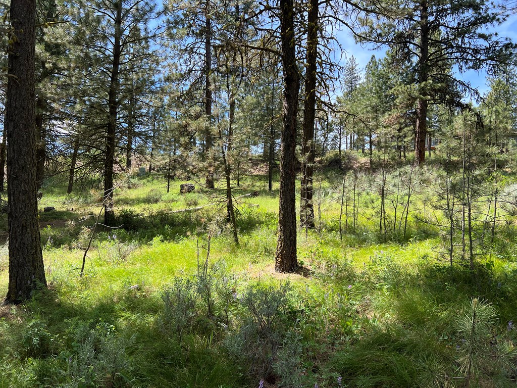 B22-l13 Vardon Road, Unit 13 New Meadows, ID 83654 - Photo 5 of 16