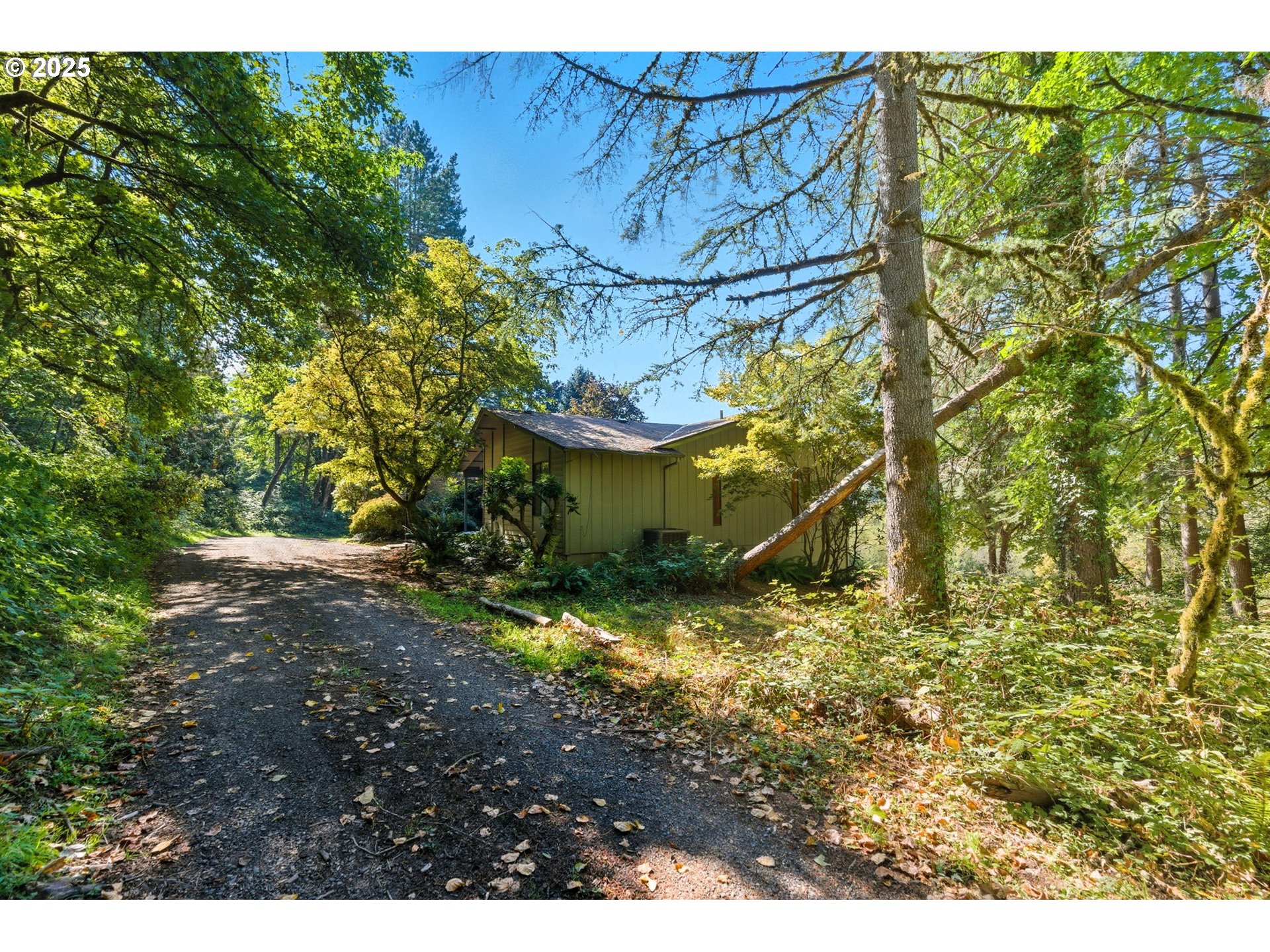 9151 Southeast Hideaway Court Damascus, OR 97089 - Photo 42 of 48 Driveway