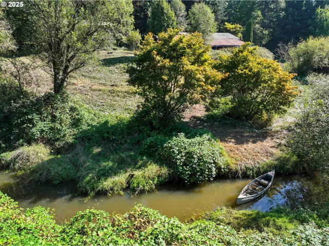 an aerial view of residential house with outdoor space and trees all around
