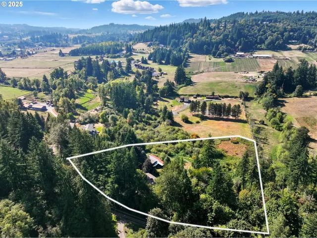 a view of backyard with green space