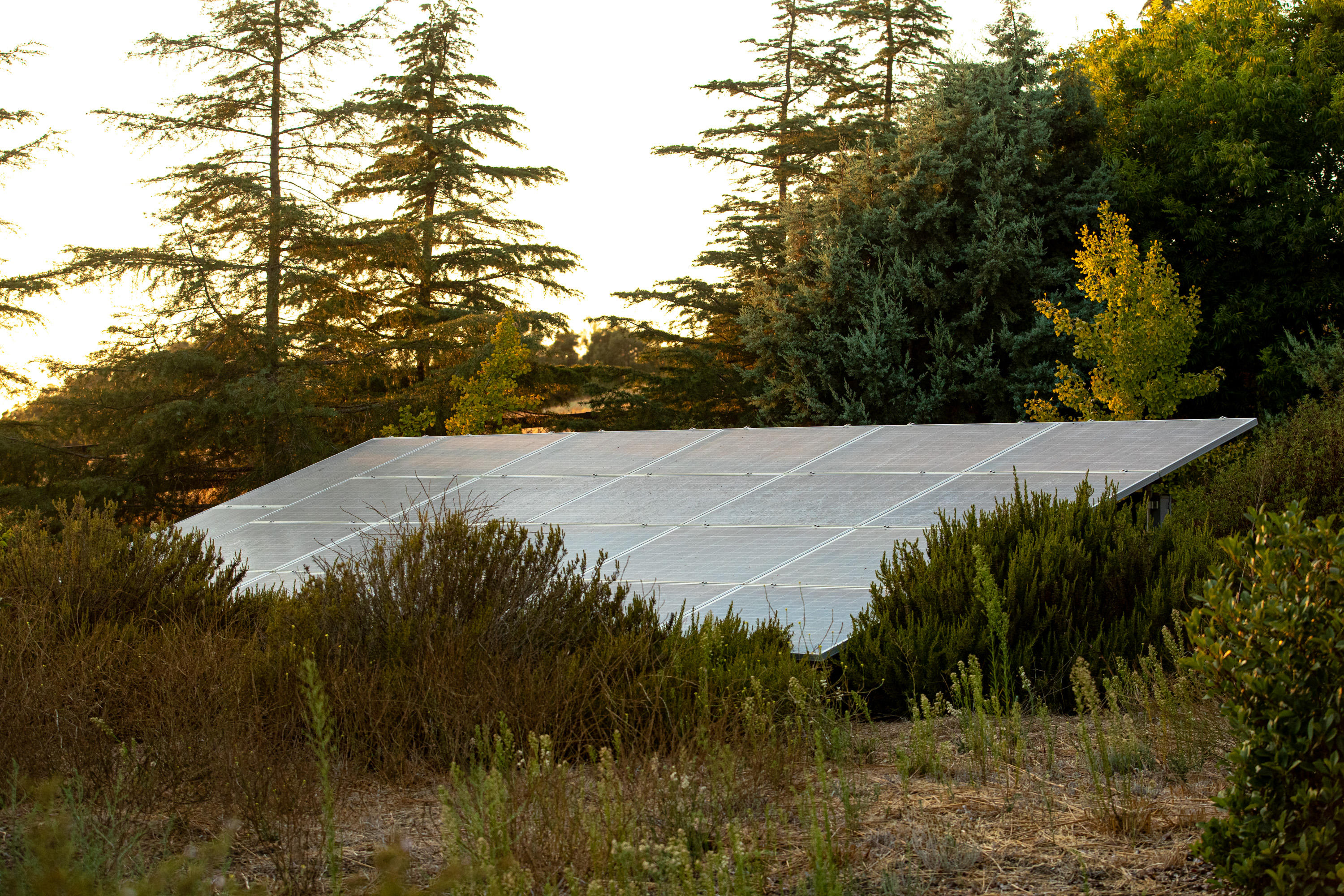 705 Mesa Drive Solvang, CA 93463 - Photo 21 of 22 a view of outdoor space and yard