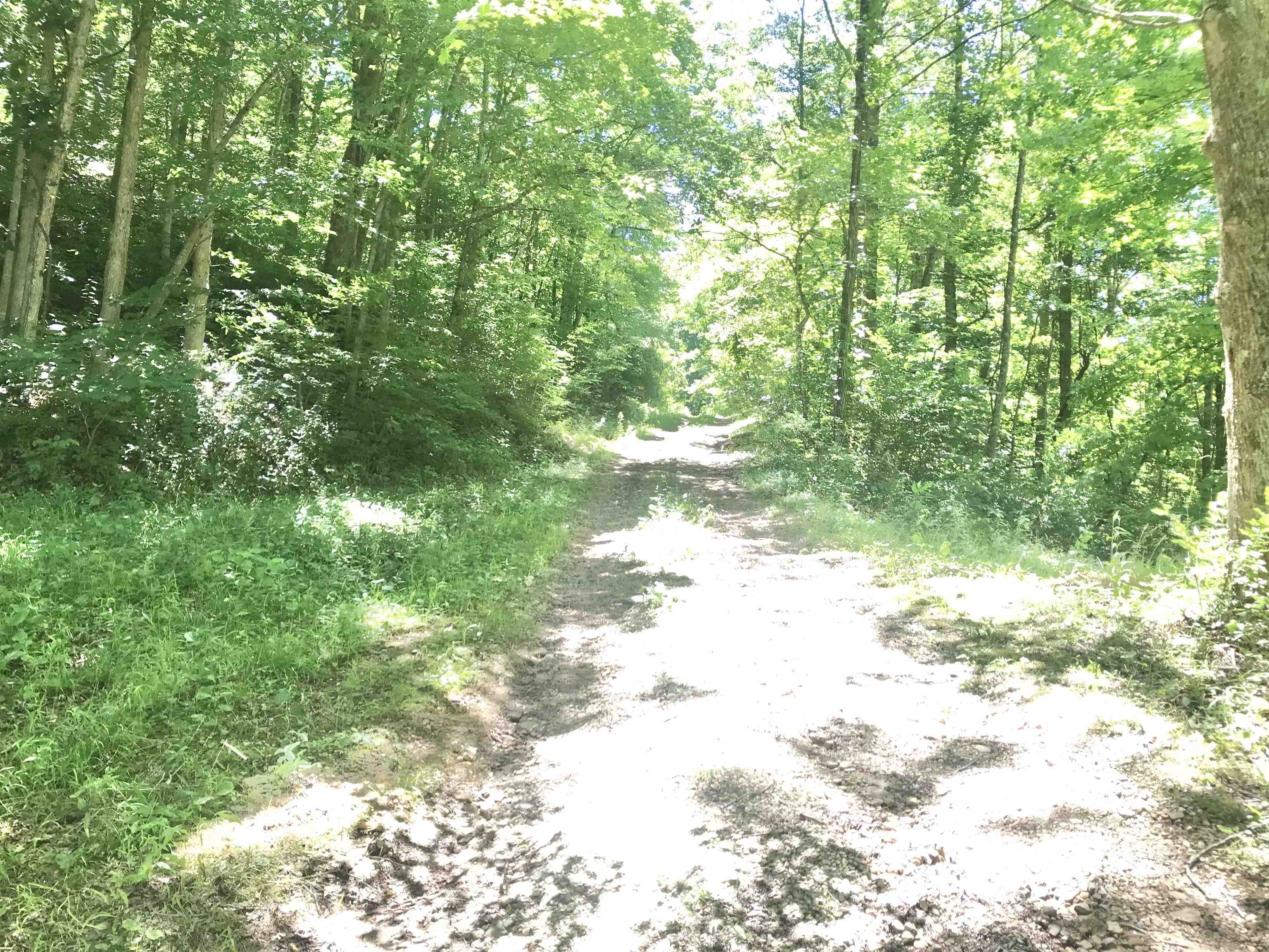 664 Walker Branch Road Morehead, KY 40351 - Photo 41 of 50