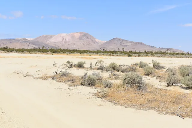 a view of lake and mountain