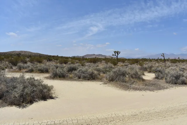 a view of a dry yard with mountains in the background