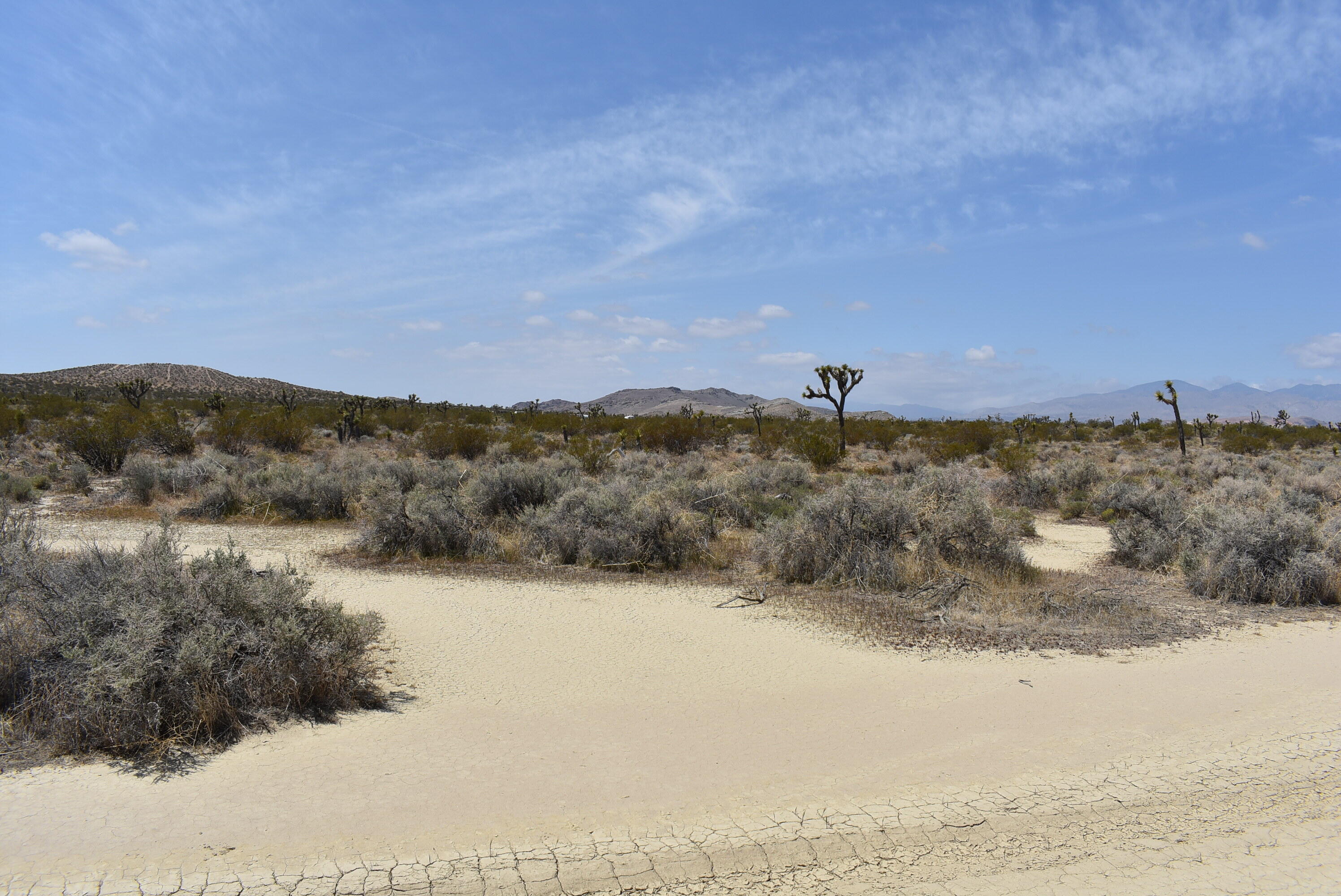 Clark Street Mojave, CA 93501 - Photo 5 of 17 a view of a dry yard with mountains in the background