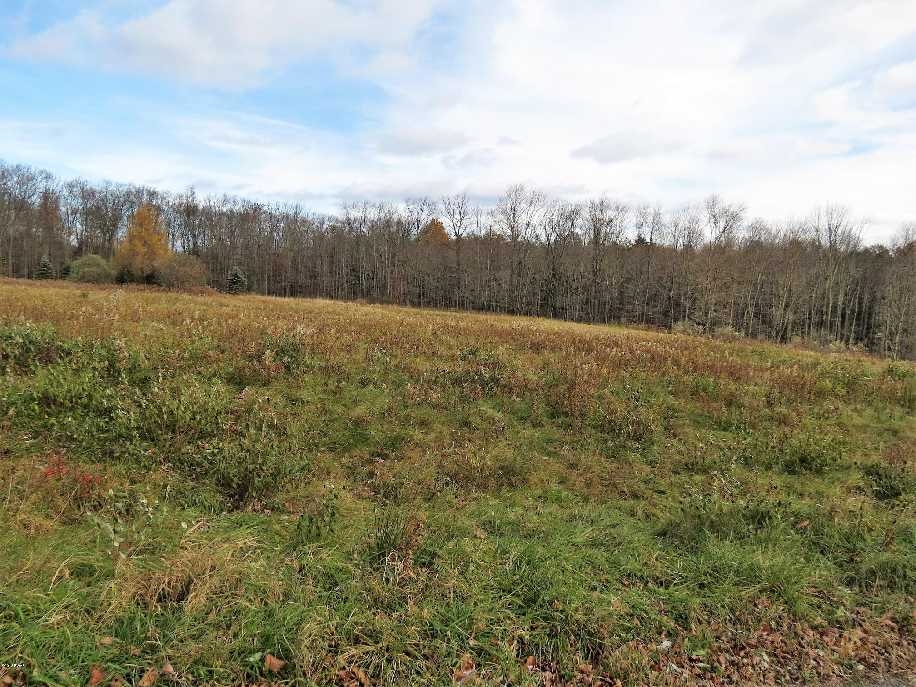 Lot 1 Butternut Road Sterling, PA 18463 - Photo 3 of 7