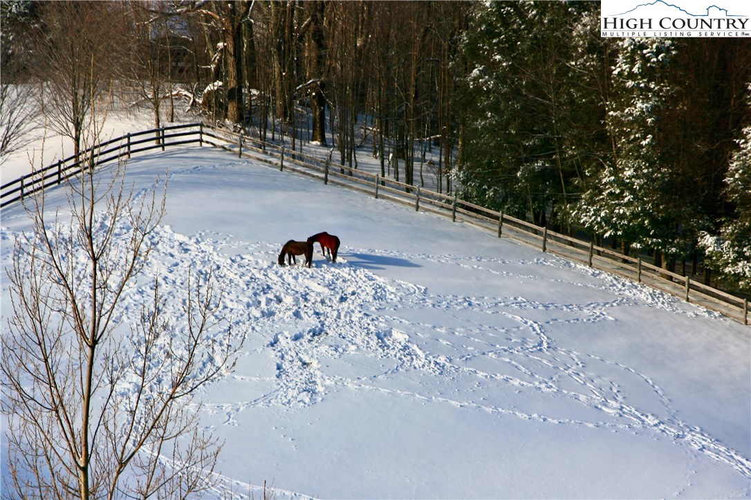 292 Andrews Road Banner Elk, NC 28604 - Photo 45 of 46 Gallery Image 45