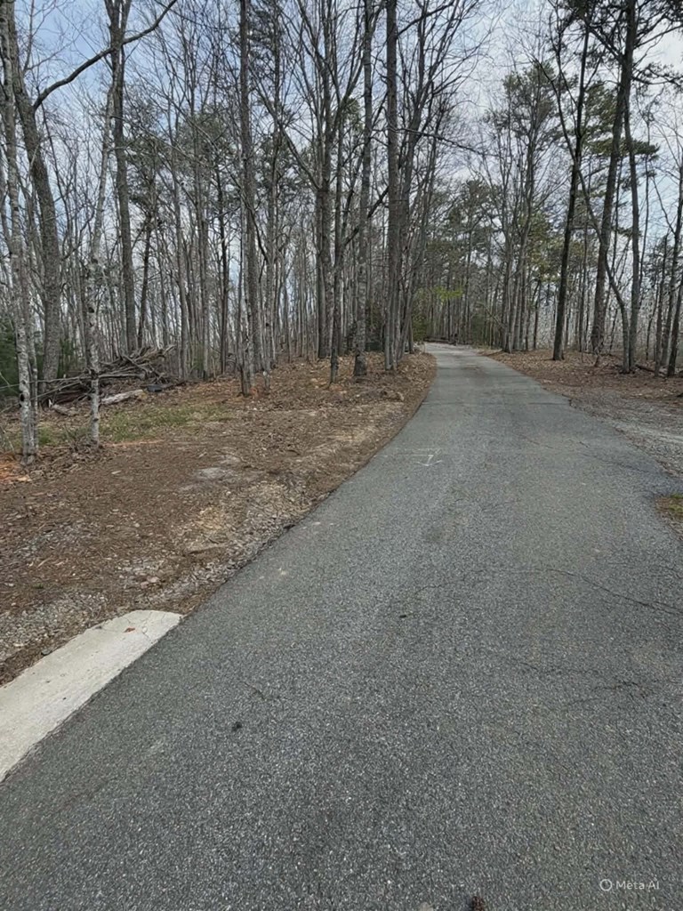 a view of road with trees