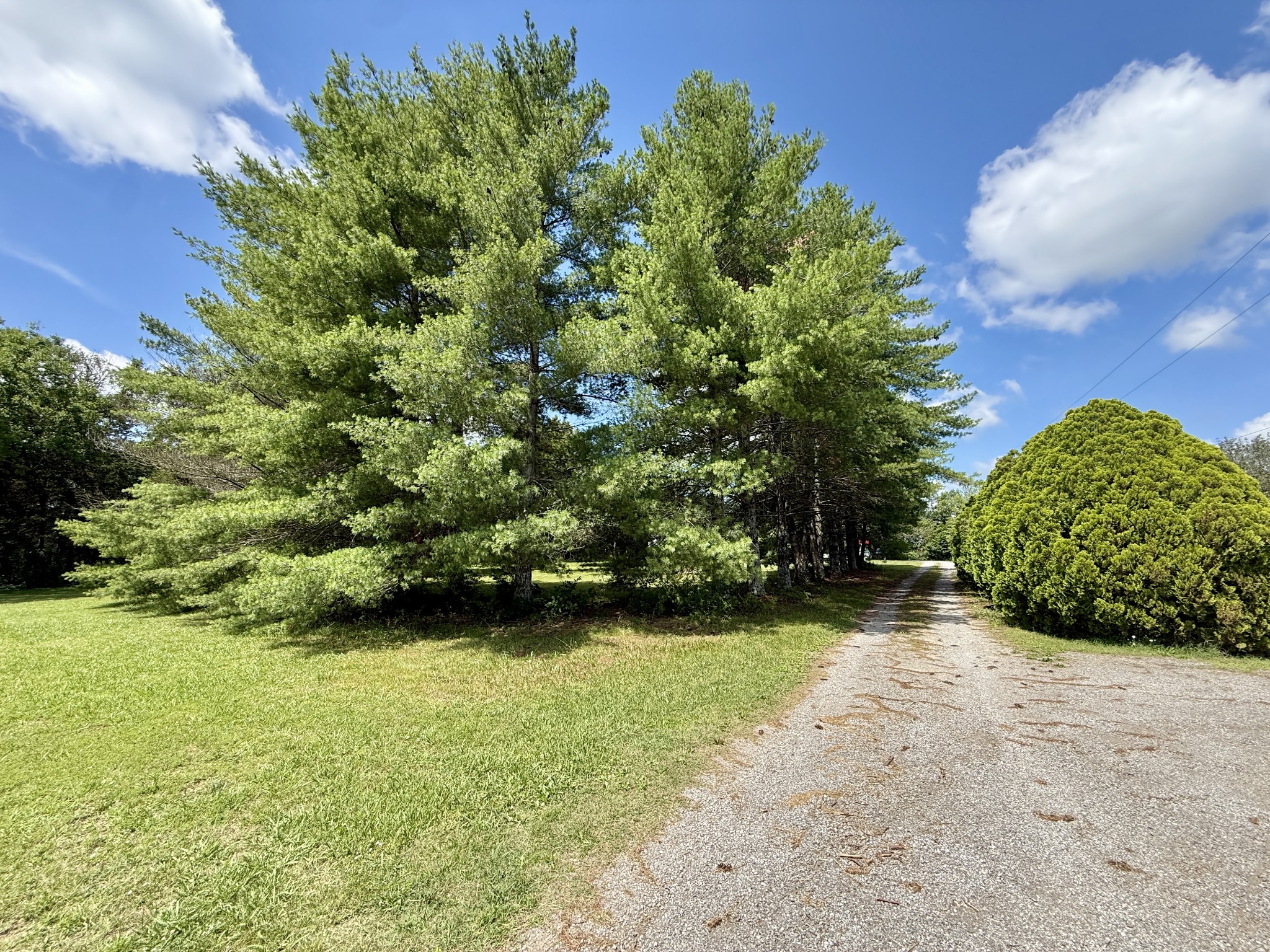 1280 B McCrary Road Lebanon, TN 37090 - Photo 45 of 100