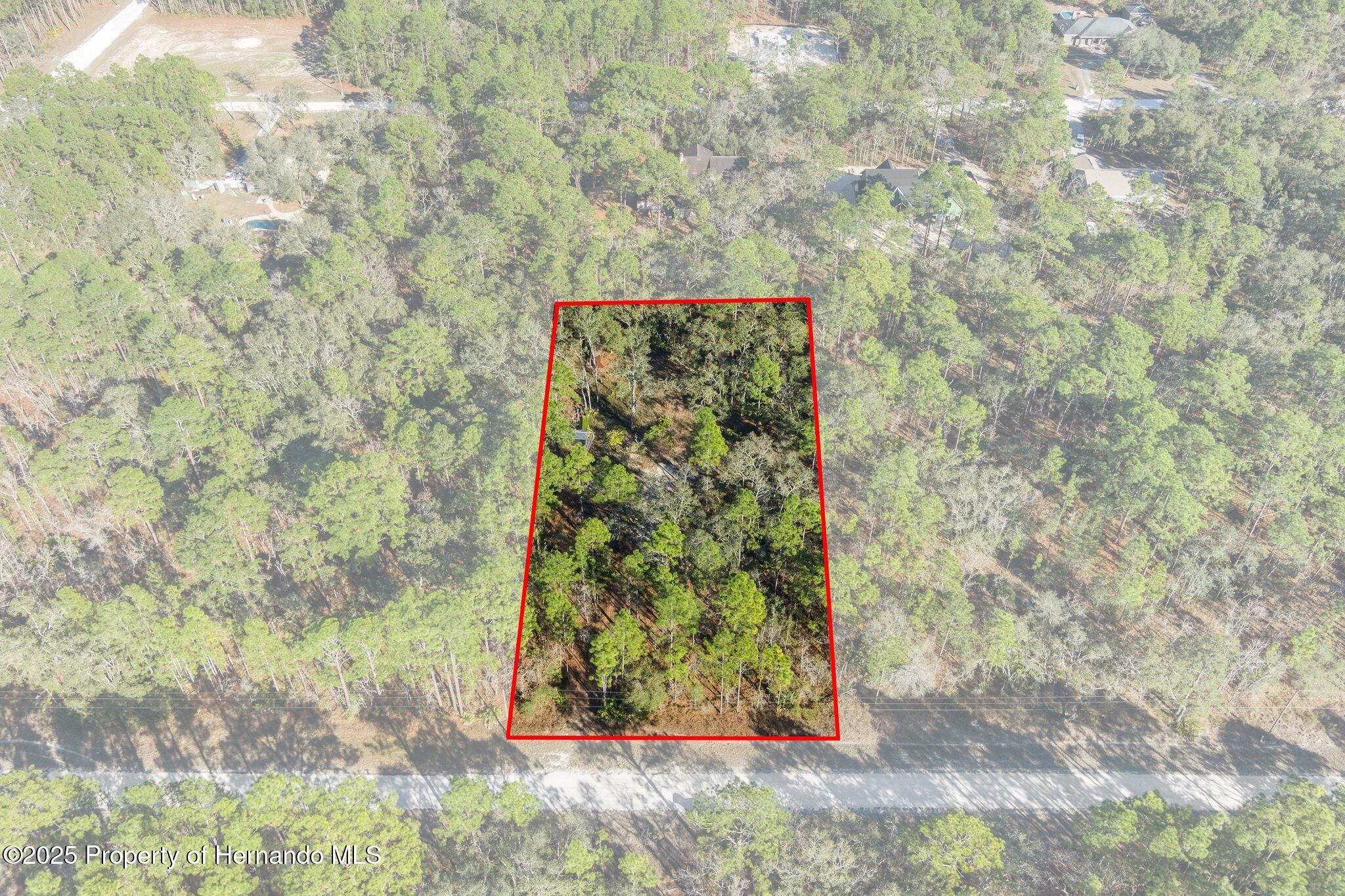 16046 Magpie Road Brooksville, FL 34614 - Photo 3 of 17