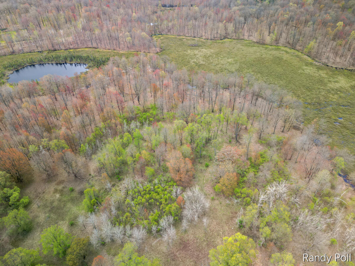 2 2 Mile Road Evart, MI 49631 - Photo 1 of 32 New primary