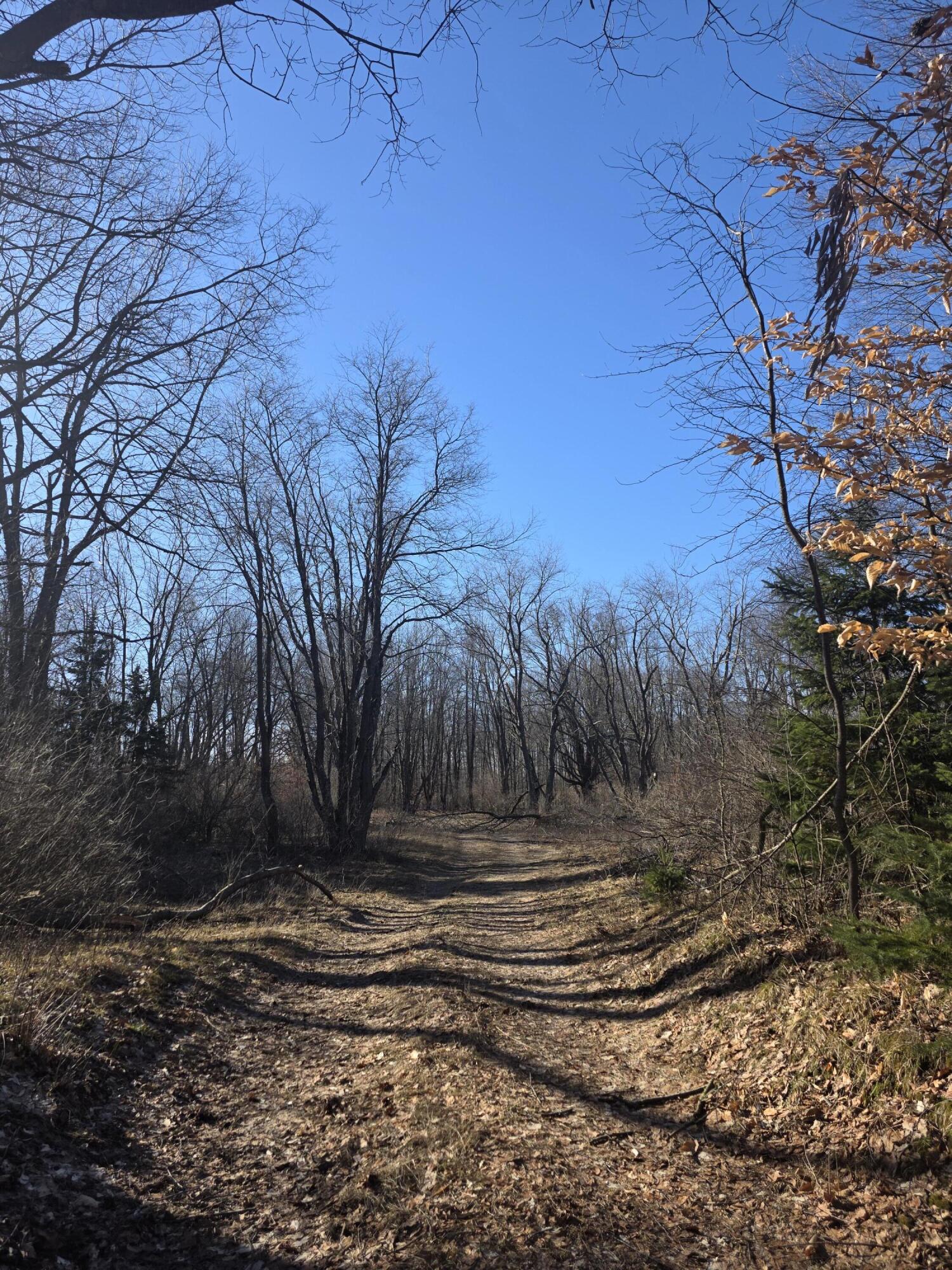 2 2 Mile Road Evart, MI 49631 - Photo 11 of 20 20260309_105305