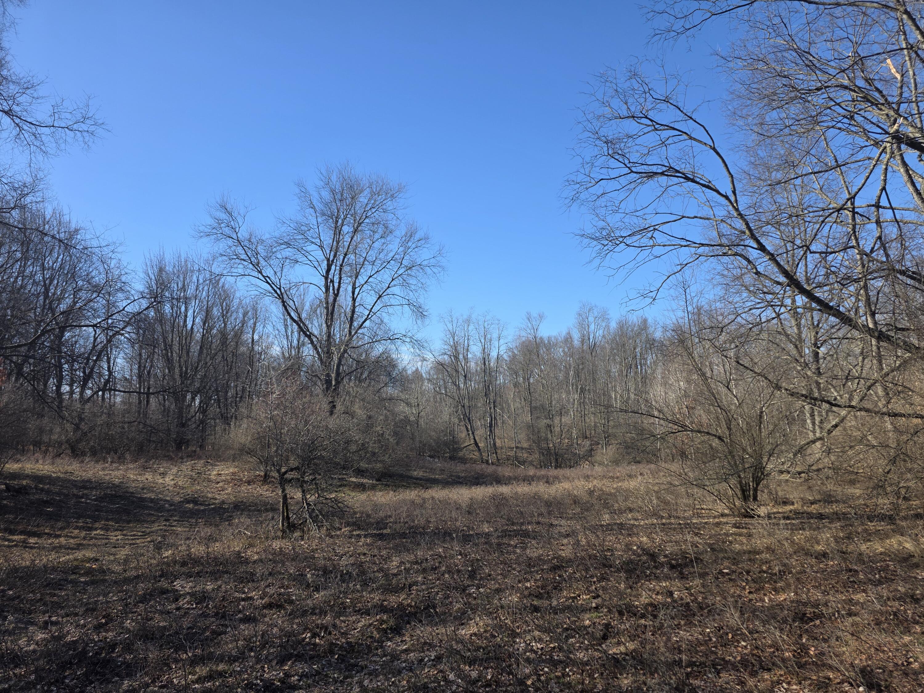 2 2 Mile Road Evart, MI 49631 - Photo 12 of 20 20260309_110053