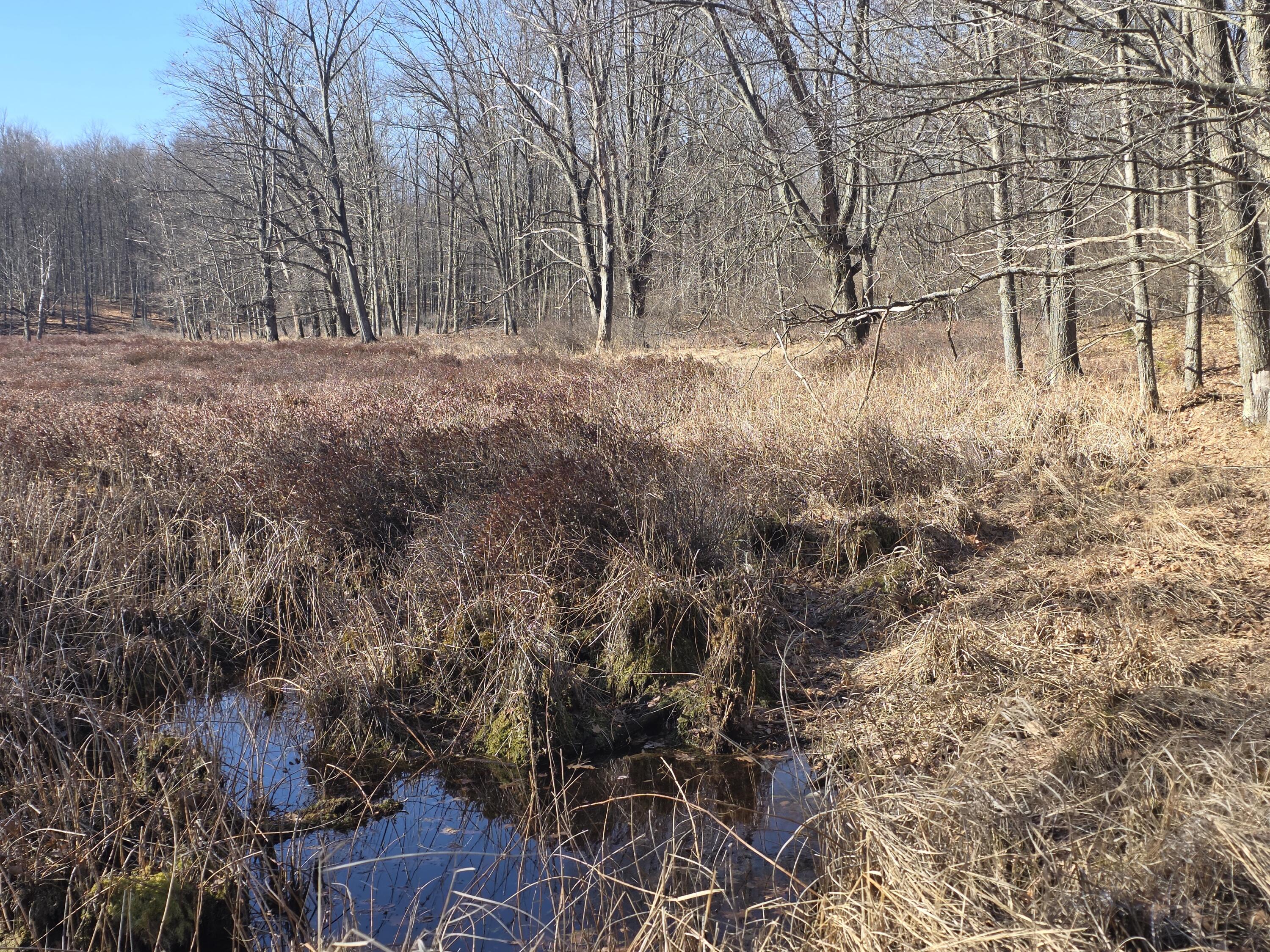 2 2 Mile Road Evart, MI 49631 - Photo 13 of 32 Primary