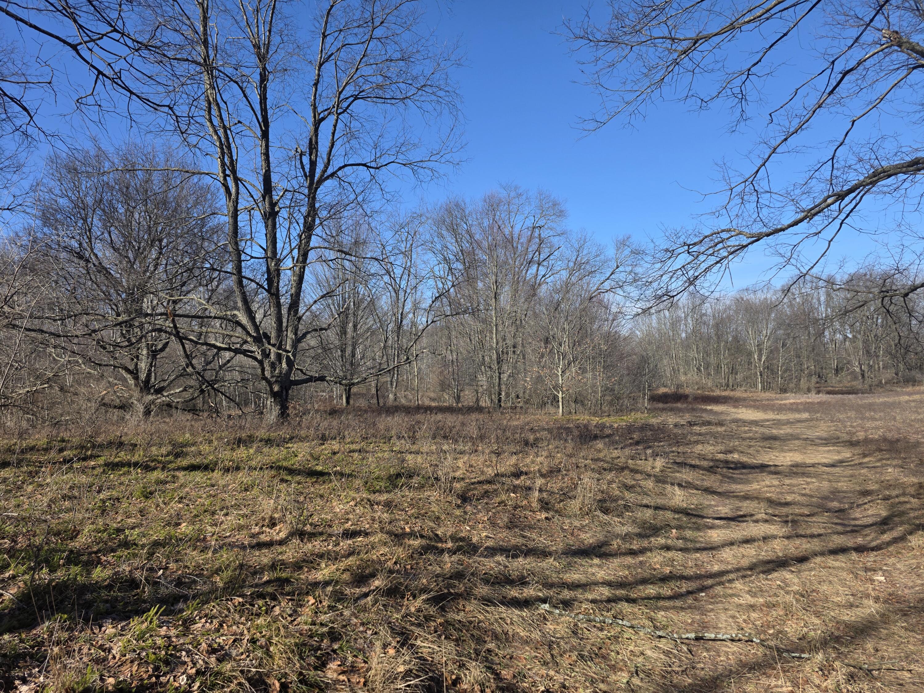 2 2 Mile Road Evart, MI 49631 - Photo 13 of 20 20260309_110722