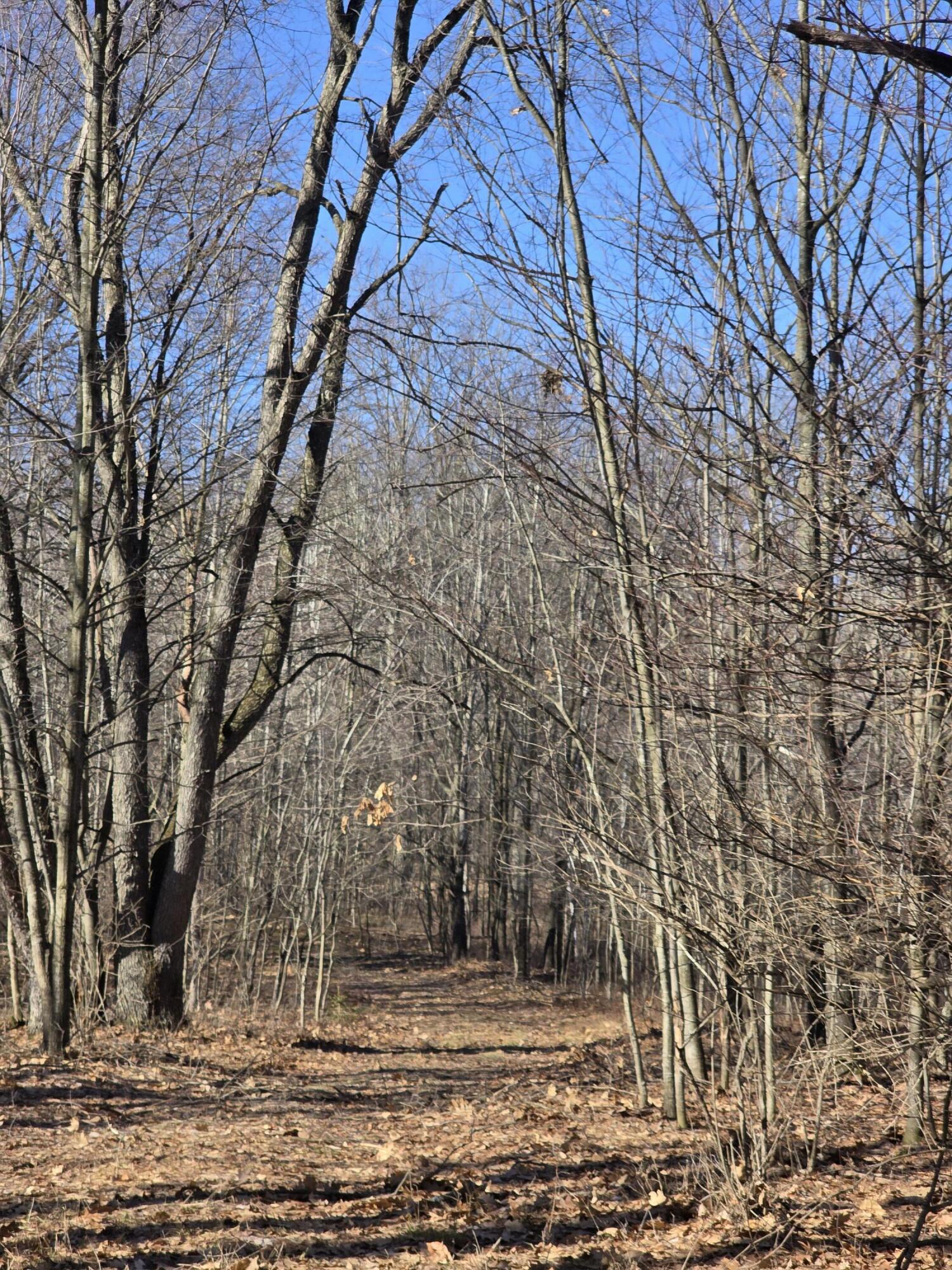 2 2 Mile Road Evart, MI 49631 - Photo 14 of 20 20260309_110909