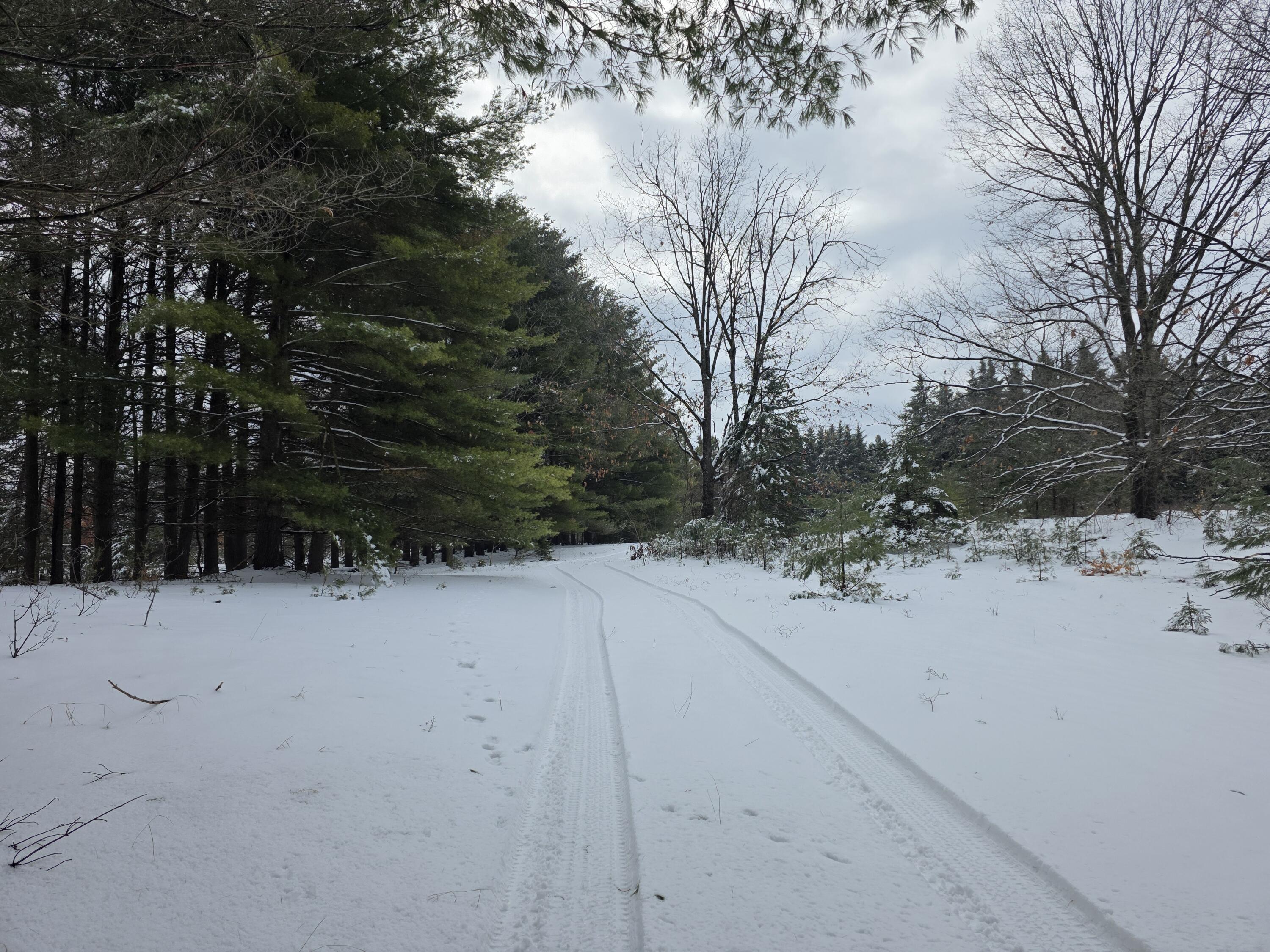 2 2 Mile Road Evart, MI 49631 - Photo 15 of 20 20260319_115141