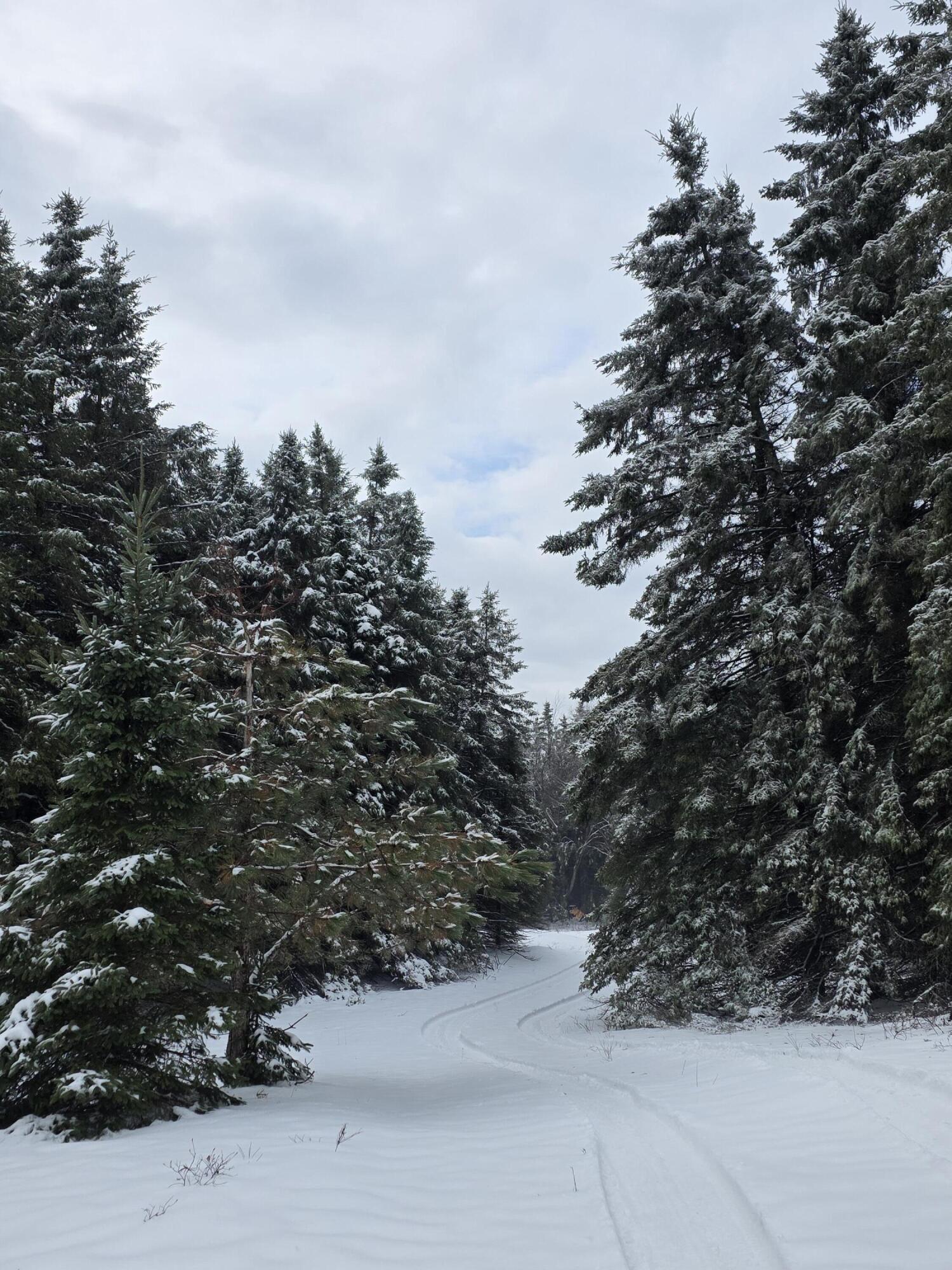 2 2 Mile Road Evart, MI 49631 - Photo 16 of 20 20260319_115323