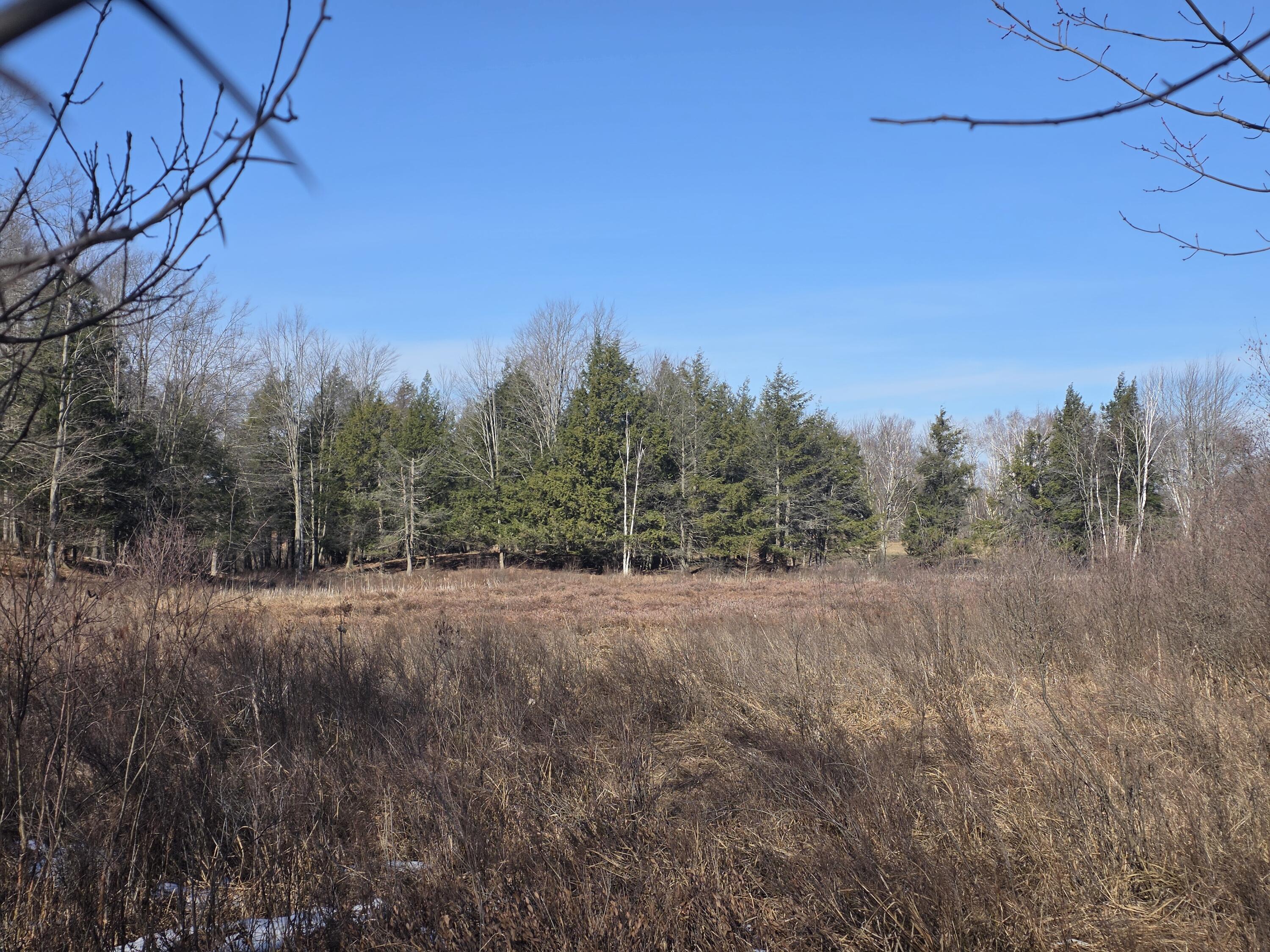 2 2 Mile Road Evart, MI 49631 - Photo 18 of 32 20260309_111046