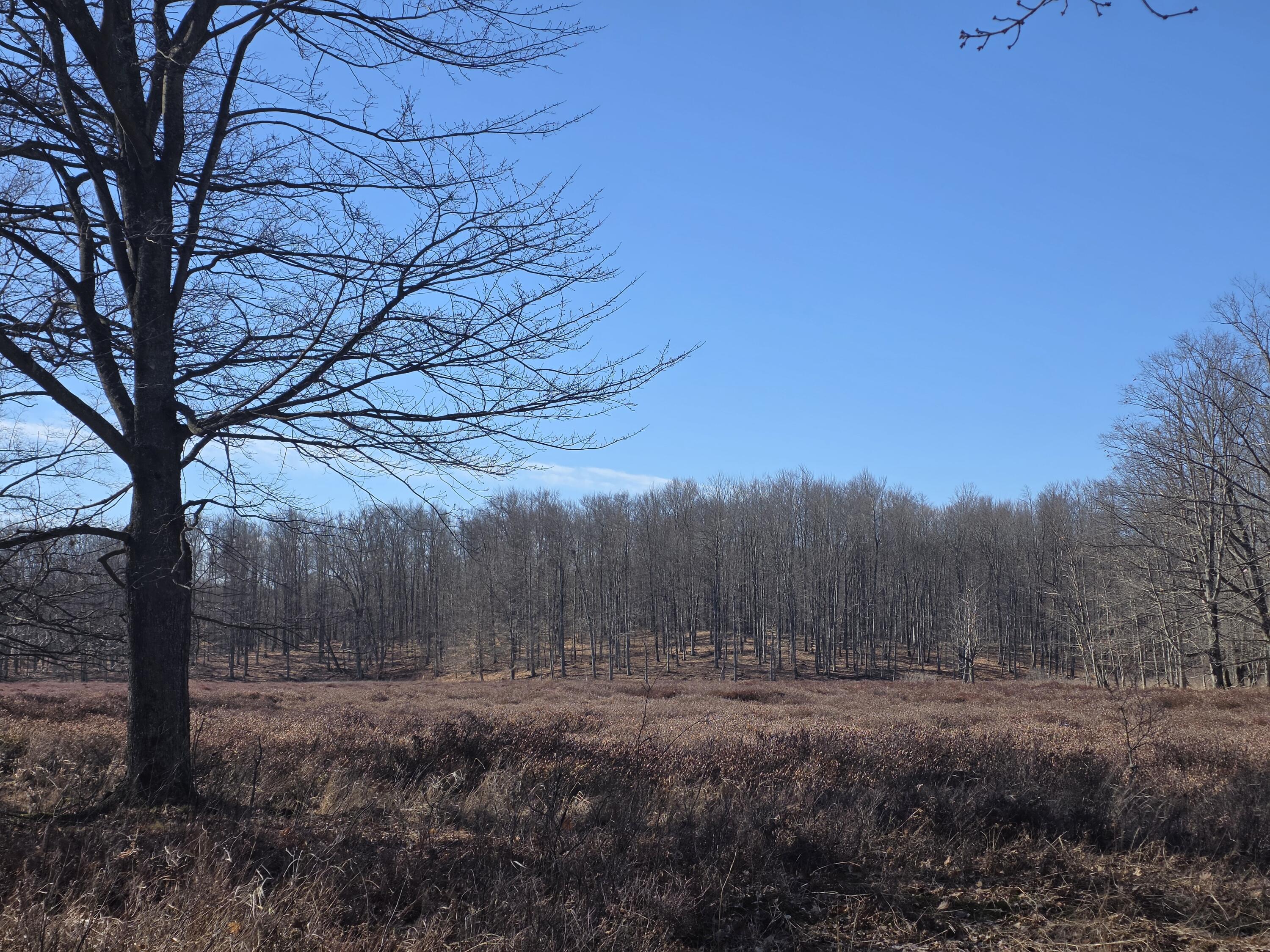 2 2 Mile Road Evart, MI 49631 - Photo 19 of 32 20260309_111232