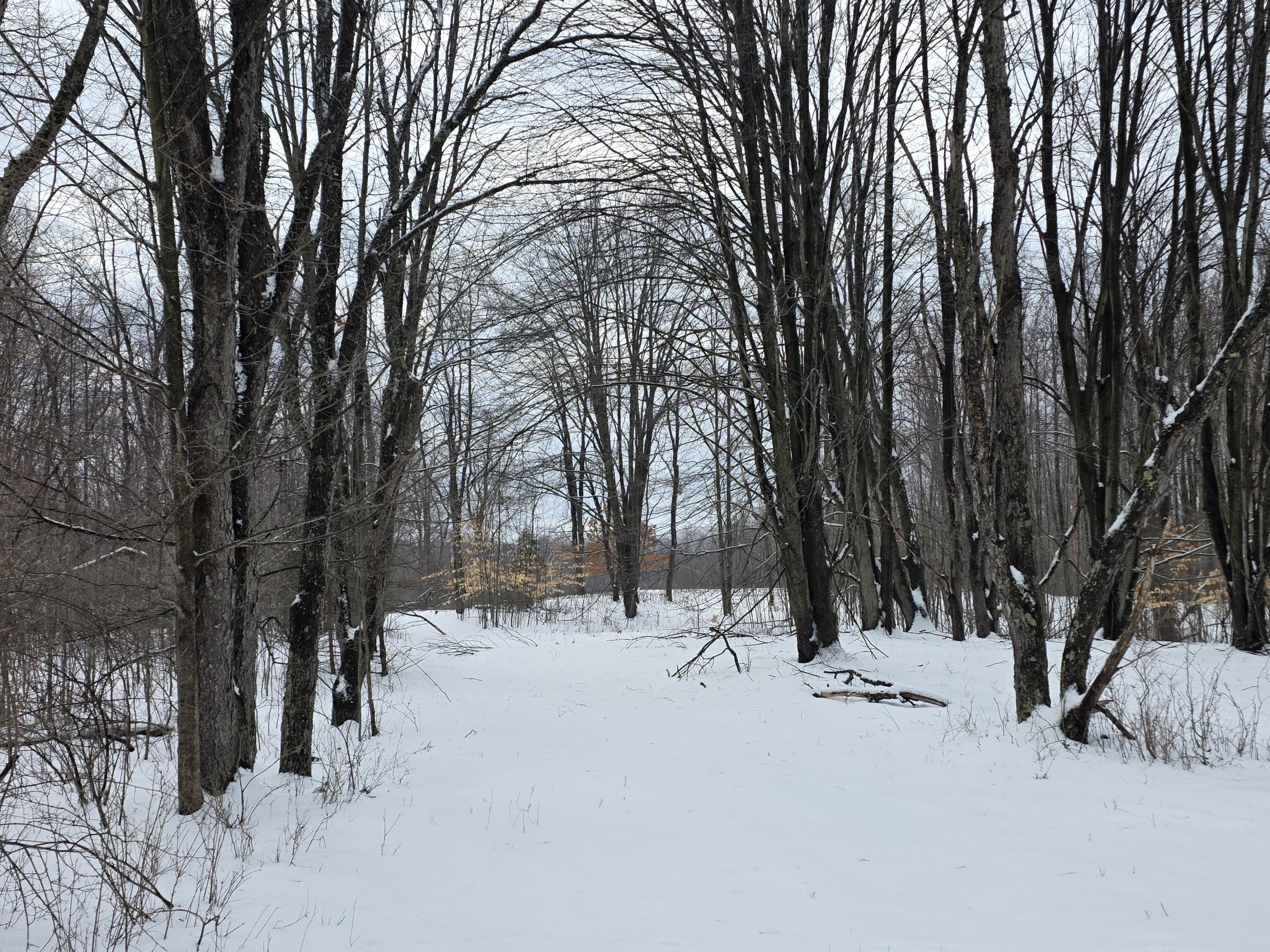 2 2 Mile Road Evart, MI 49631 - Photo 29 of 32 20260319_115504