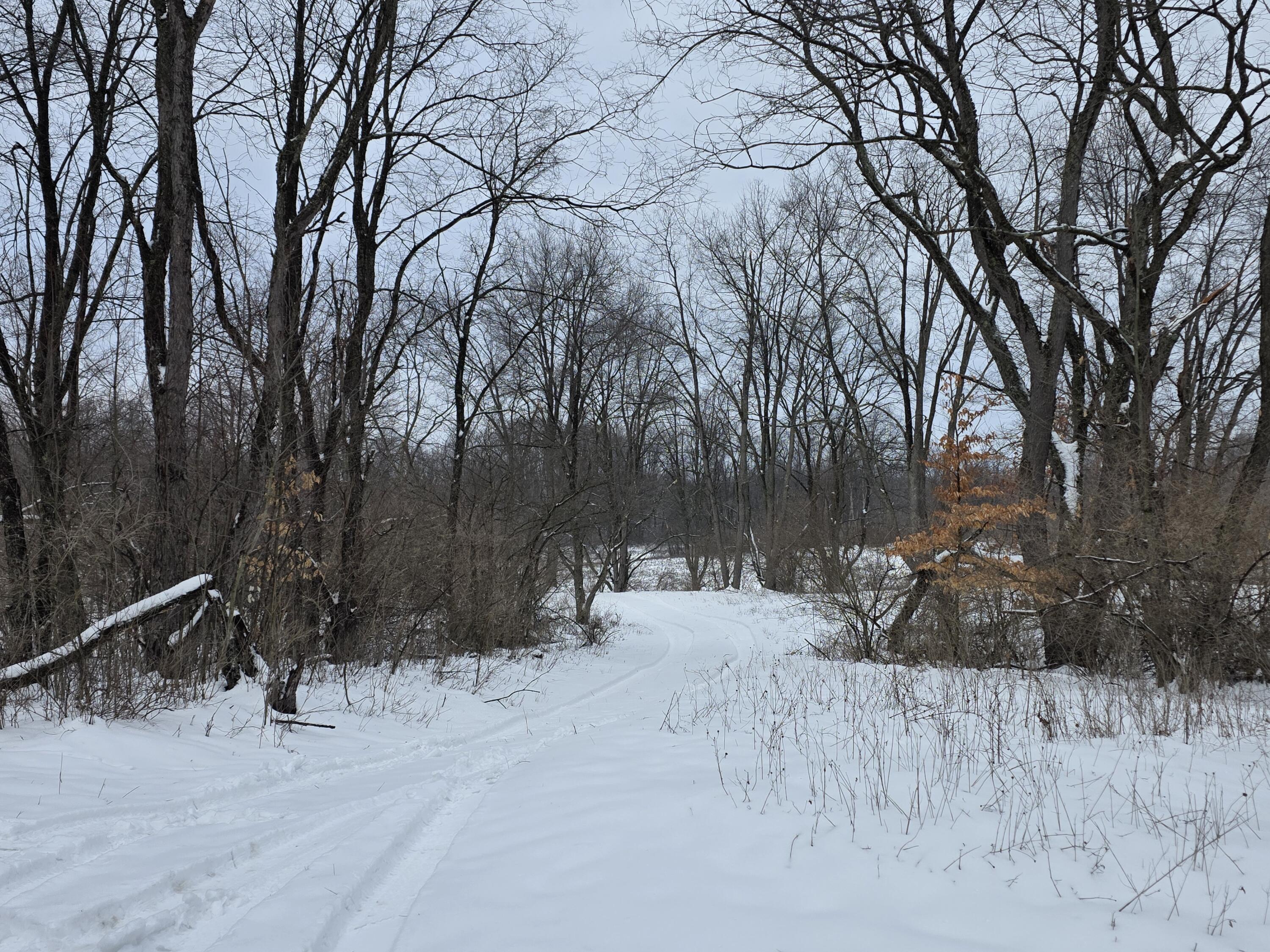 2 2 Mile Road Evart, MI 49631 - Photo 30 of 32 20260319_115513