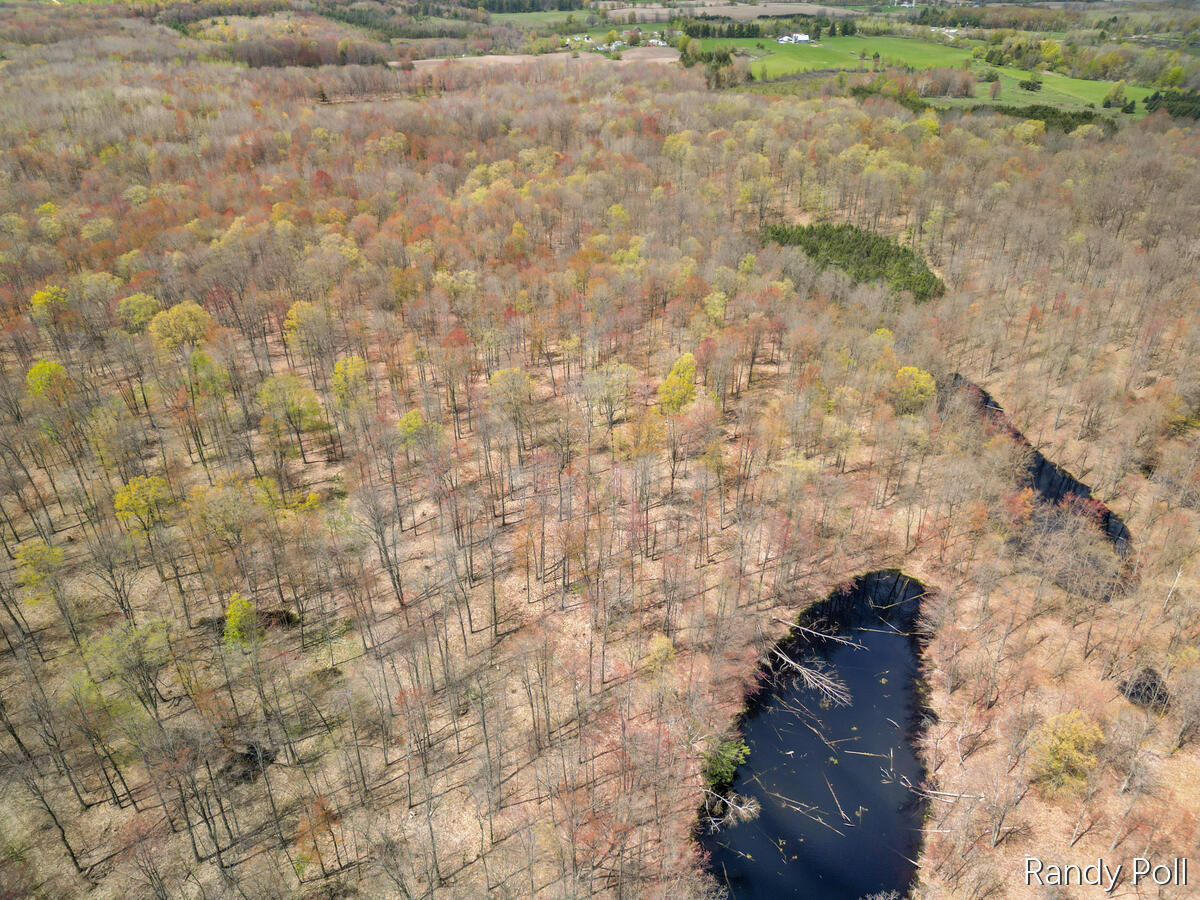 2 2 Mile Road Evart, MI 49631 - Photo 3 of 32 106-2-Mile-Road_205